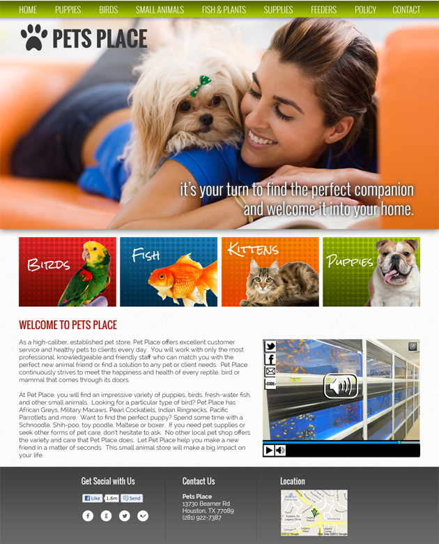 ptsd veteran service dog vest